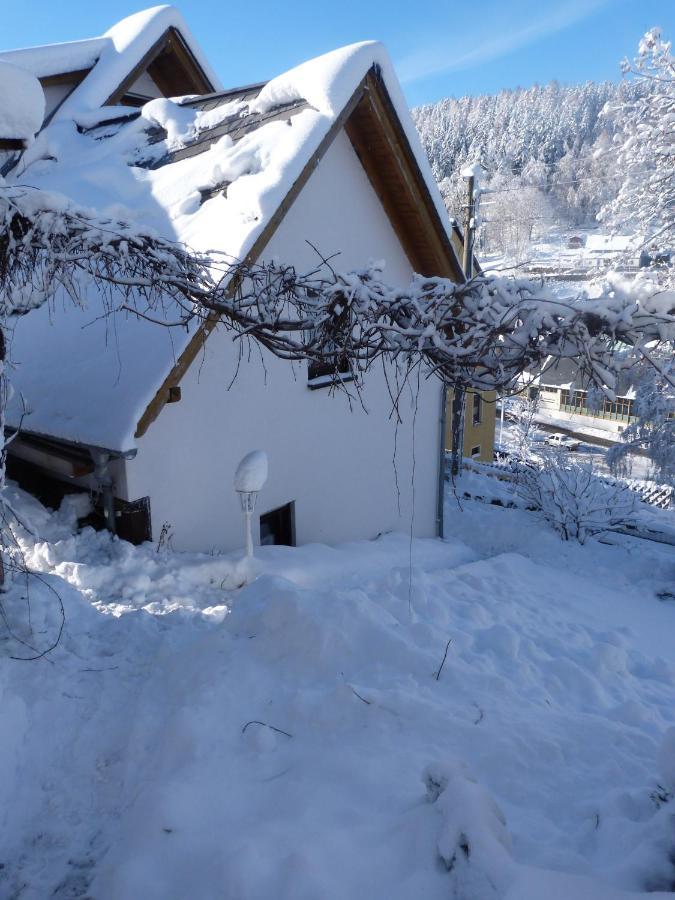Villa Erzgebirgshuette Pobershau Esterno foto