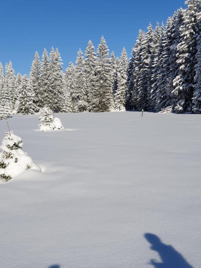 Villa Erzgebirgshuette Pobershau Esterno foto